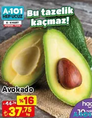 AVOKADO AVOKADO